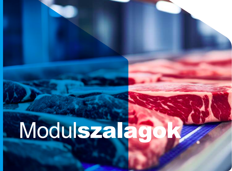 ALBLINK MODULSZALAGOK